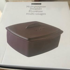 Epicure Multipurpose Steamer! NEW in box!